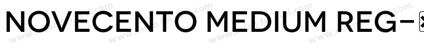 Novecento Medium Reg字体转换